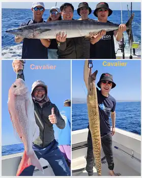 20/02 – The good streak continues! - Cavalier & Blue Marlin Sport Fishing Gran Canaria