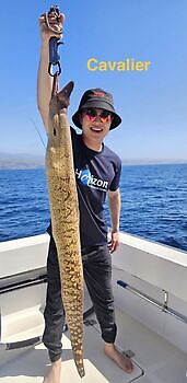 20/02 Cavalier & Blue Marlin Sport Fishing Gran Canaria