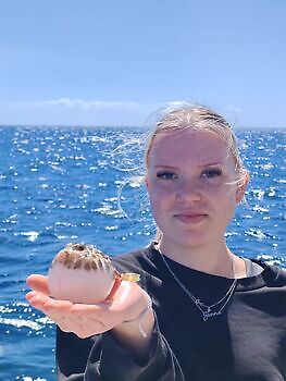 02/03 Cavalier & Blue Marlin Sport Fishing Gran Canaria