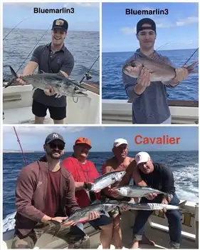 07/03 - Fishing keeps delivering great moments! - Cavalier & Blue Marlin Sport Fishing Gran Canaria
