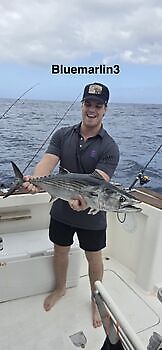 07/03 Cavalier & Blue Marlin Sport Fishing Gran Canaria