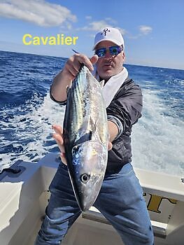 10/03 Cavalier & Blue Marlin Sport Fishing Gran Canaria
