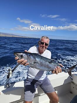 10/03 Cavalier & Blue Marlin Sport Fishing Gran Canaria
