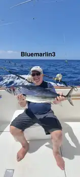 02/04 - Tonijn laat zich niet vangen, maar de actie blijft! - Cavalier & Blue Marlin Sport Fishing Gran Canaria