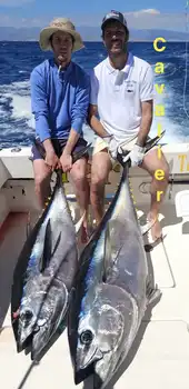 02/05 – Big Eye Tuna! - Cavalier & Blue Marlin Sport Fishing Gran Canaria